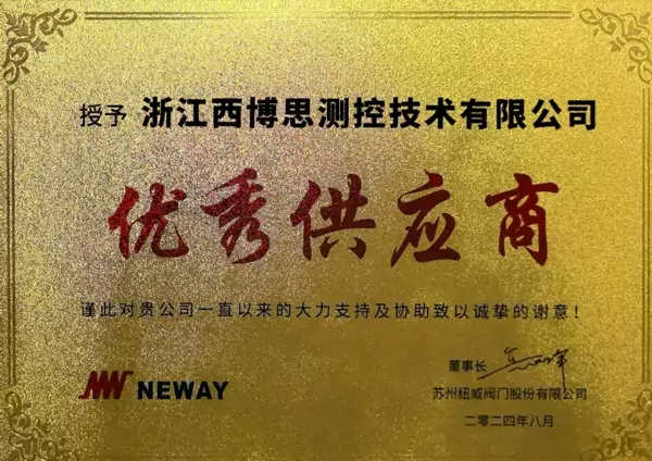 2024 Excellent Supplier of NEWAY